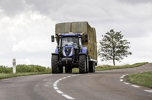 t6